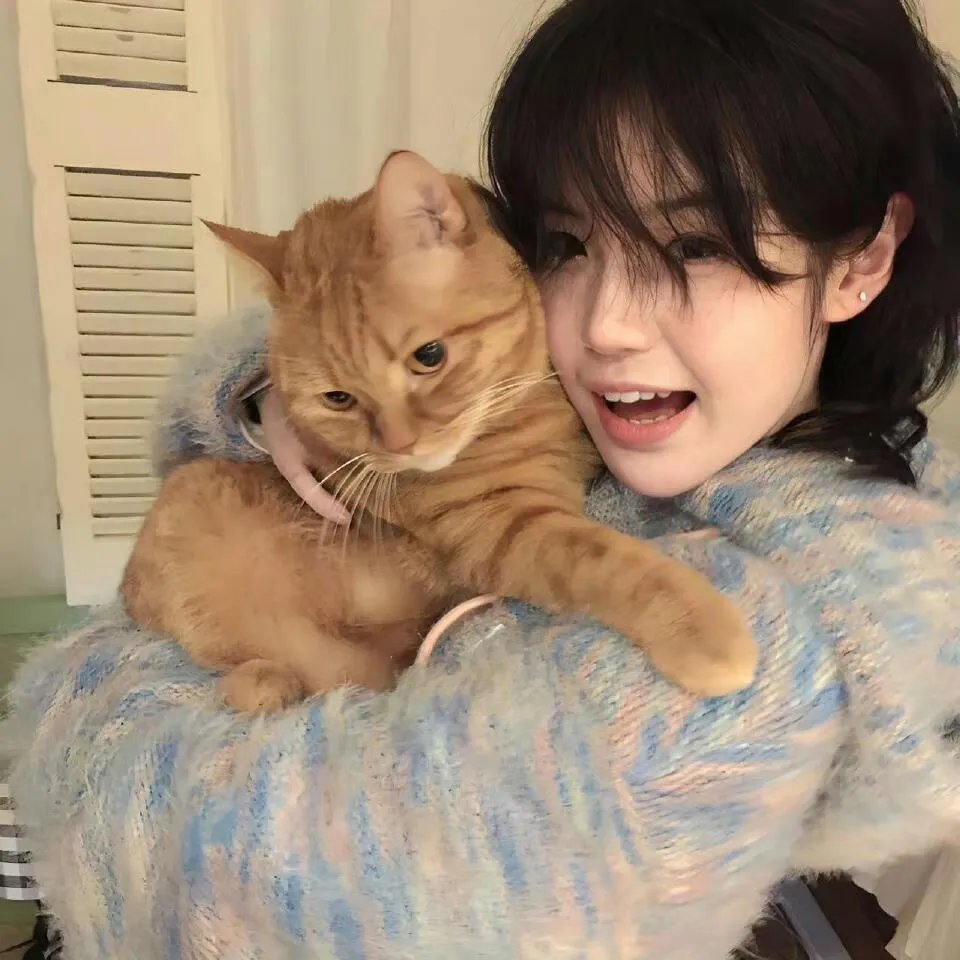 胖胖裤猪