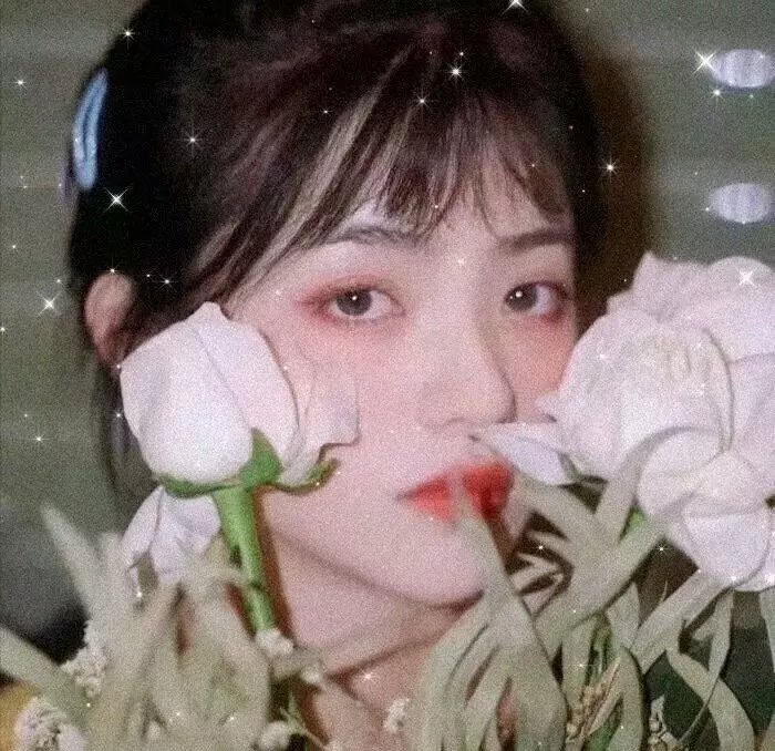 风流浪子